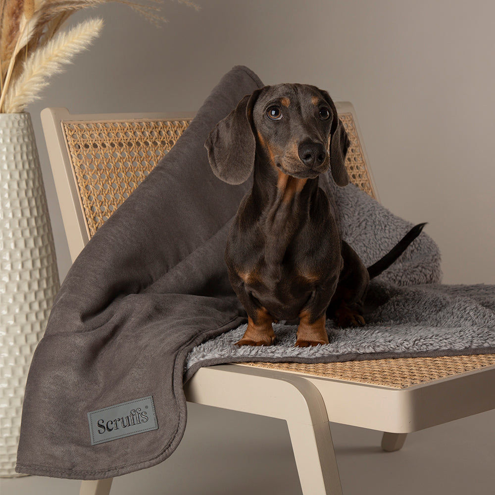 Cosy Blanket - Grau