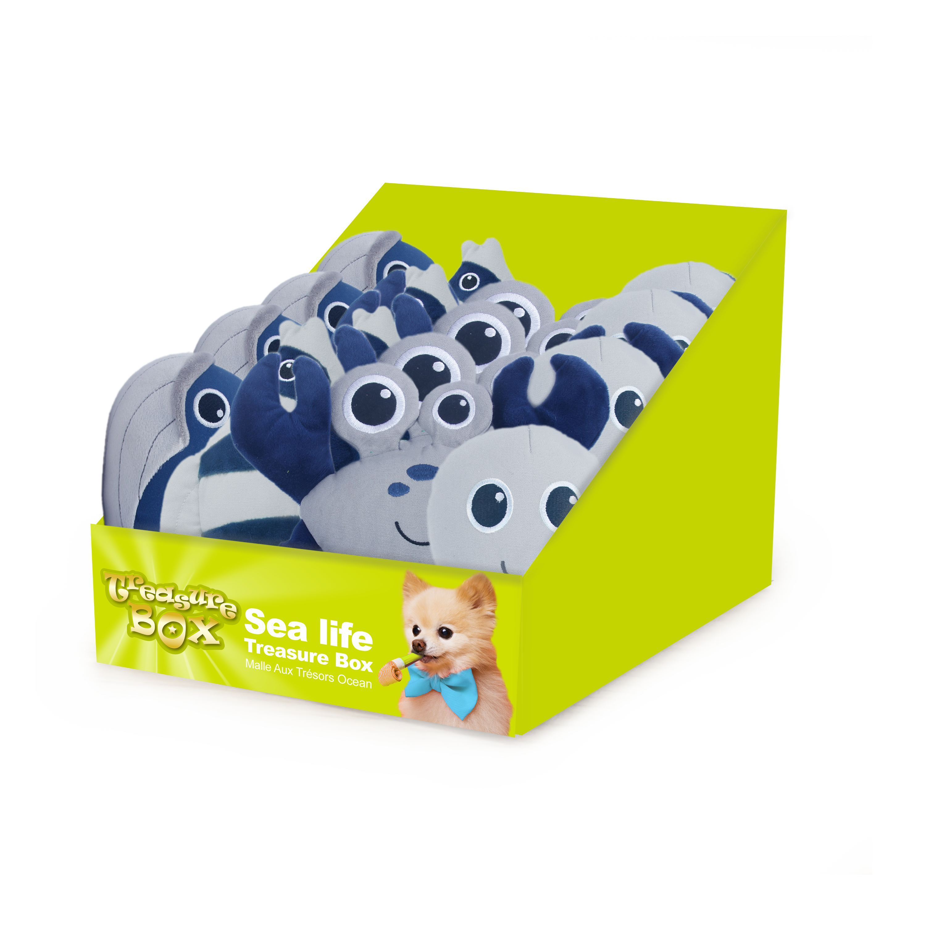AFP Treasure Box Sea Life jouets pour chien lot de 12