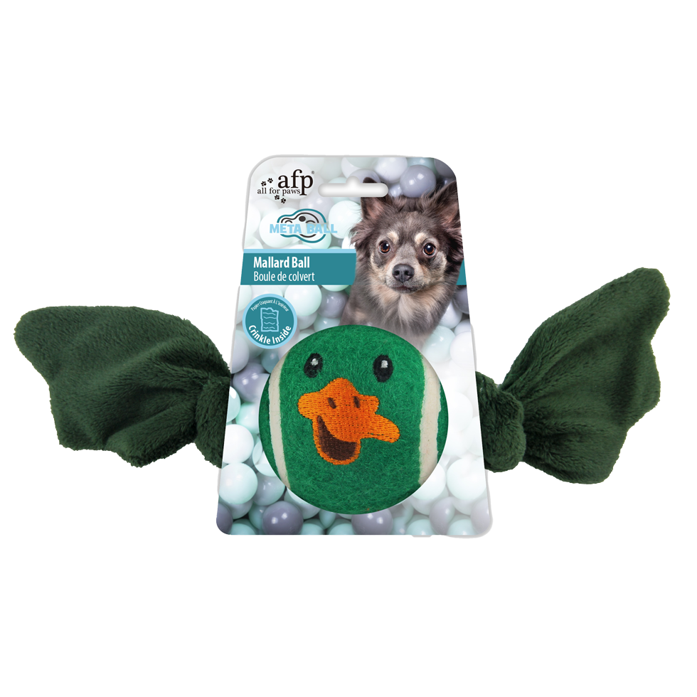AFP Meta Ball Ball Canard jouet pour chien