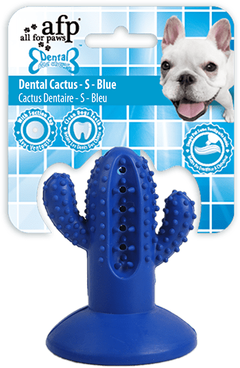 AFP Dental Chews Dental Cactus jouet pour chien S bleu