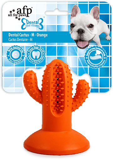 AFP Dental Chews Dental Cactus jouet pour chien M orange