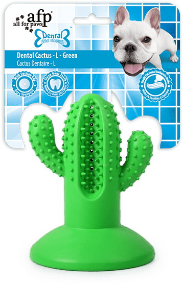 AFP Dental Chews Dental Cactus jouet pour chien L vert