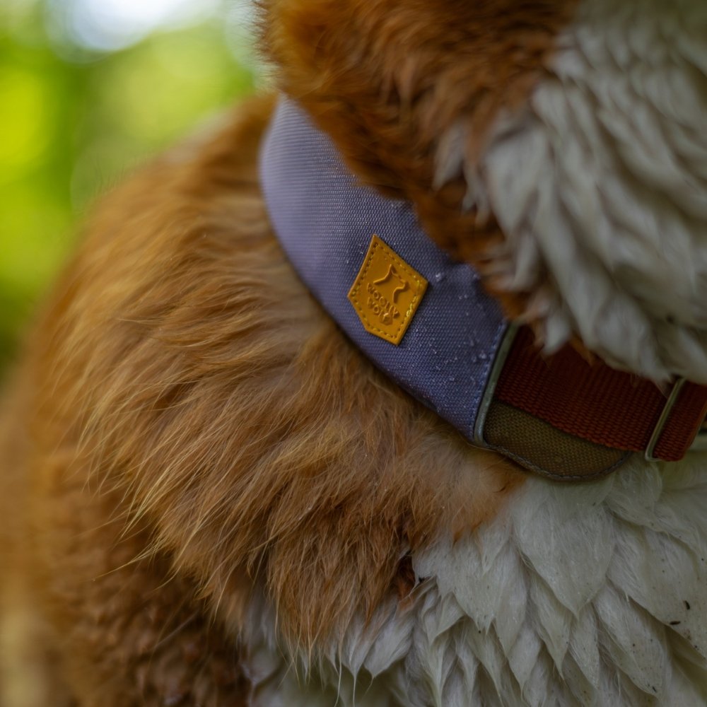 Woolly Wolf Alpha 360 halsband