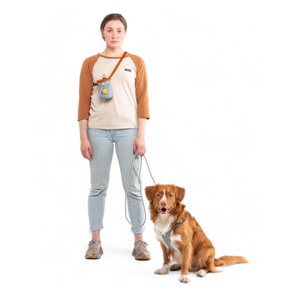 Woolly Wolf Alpha 360 Geschirr RPET M