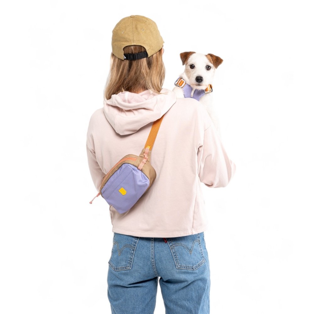 Woolly Wolf Alpha 360 Geschirr RPET M