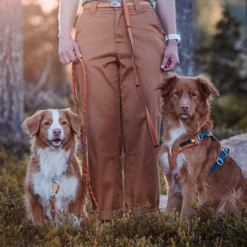 Woolly Wolf Alpha 360 Geschirr RPET XS 11 cm Terracotta Mix