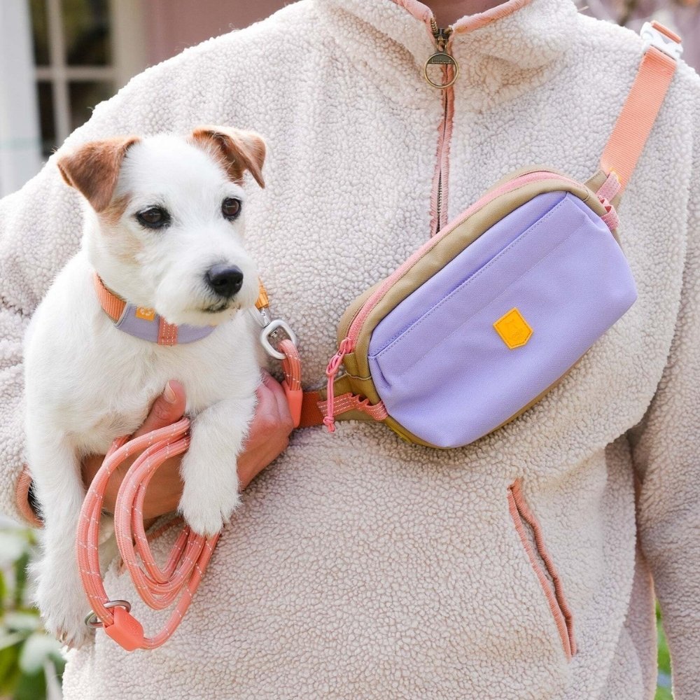 Woolly Wolf Alpha 360 Hip Pack