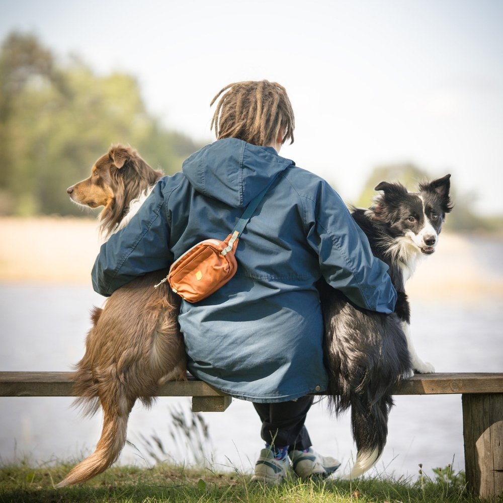 Woolly Wolf Alpha 360 Hip Pack draagtas gerecycled polyester 21x14 cm