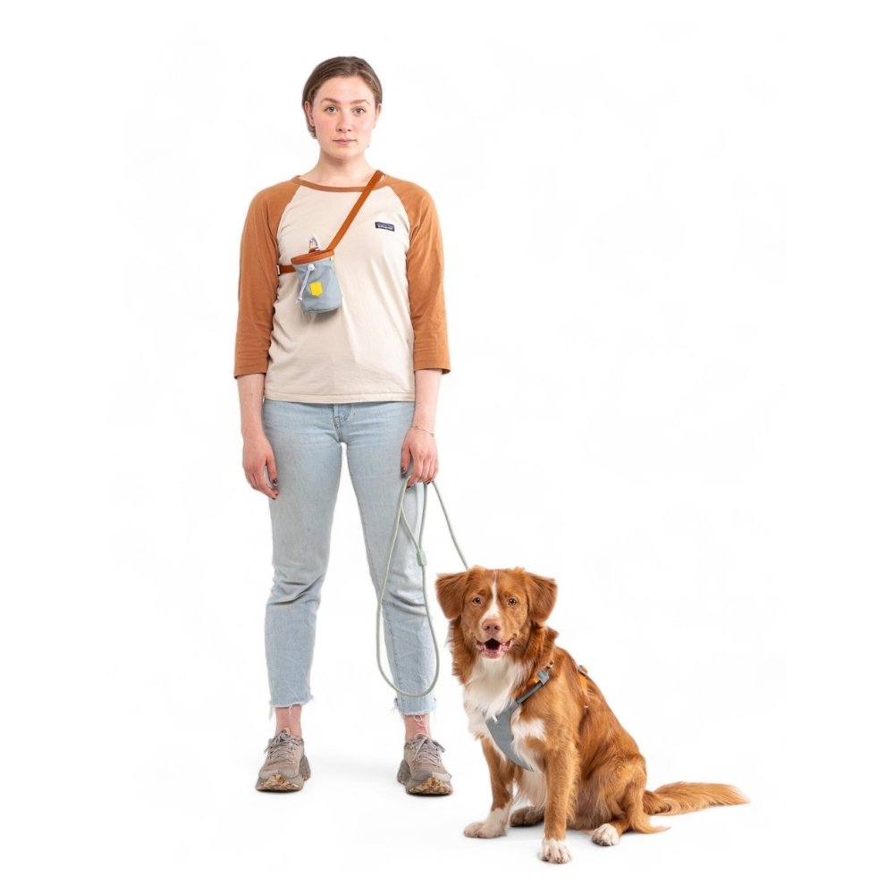 Woolly Wolf Alpha 360 beloningstas