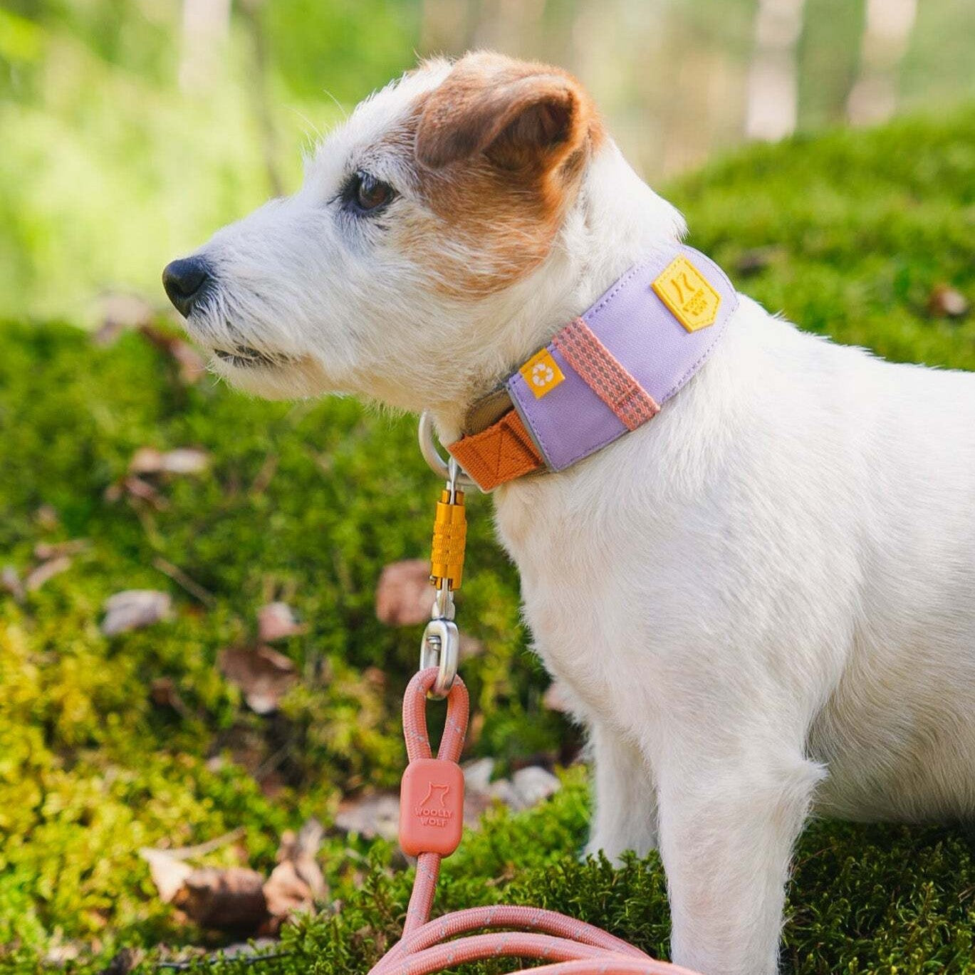 Woolly Wolf Alpha 360 halsband