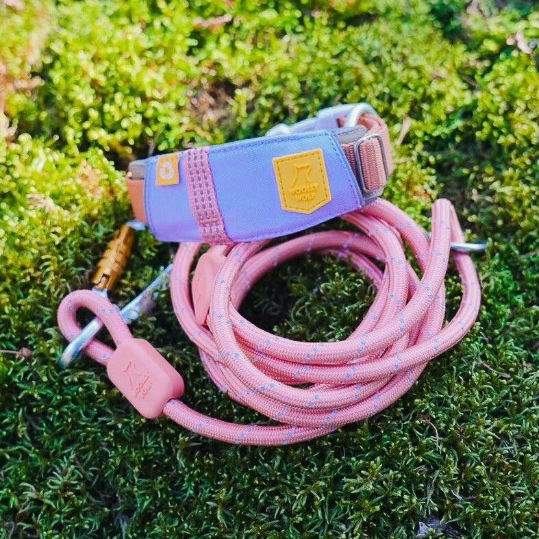 Woolly Wolf Alpha 360 halsband
