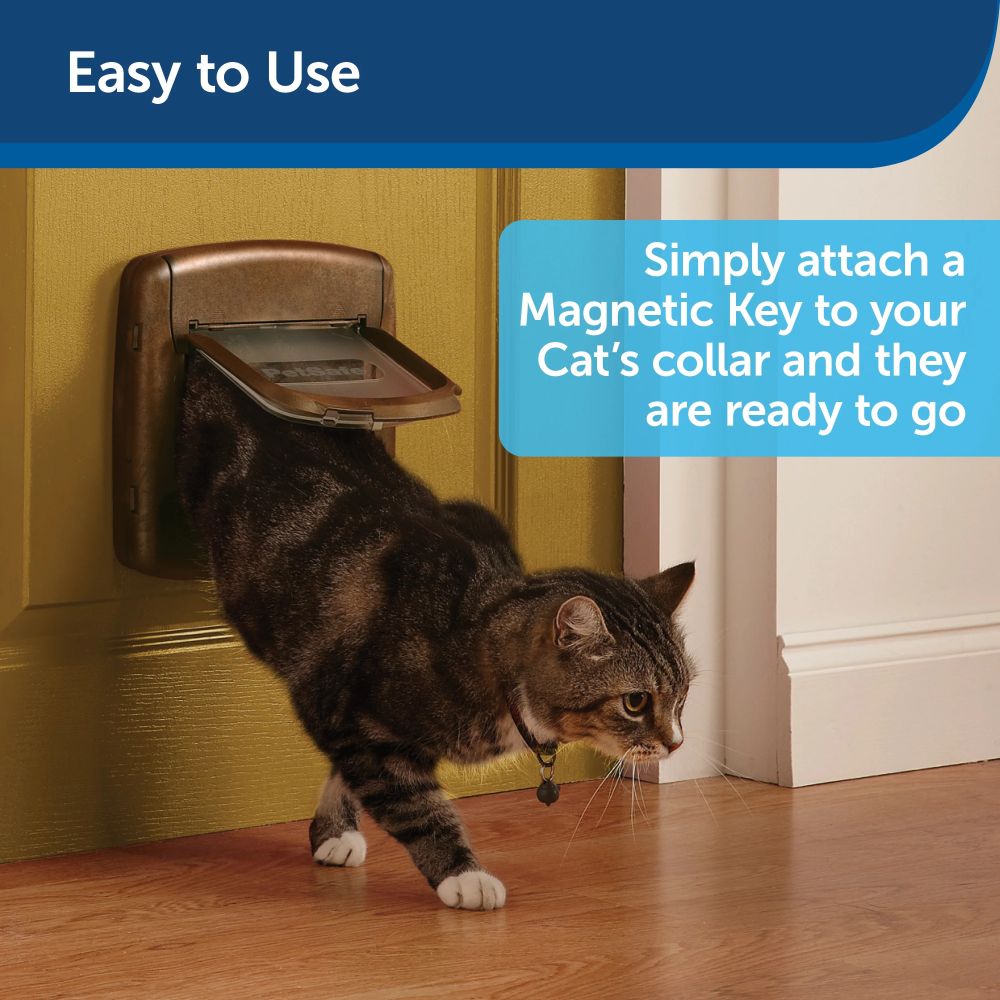 Staywell® Magnetischer Halsbandanhänger