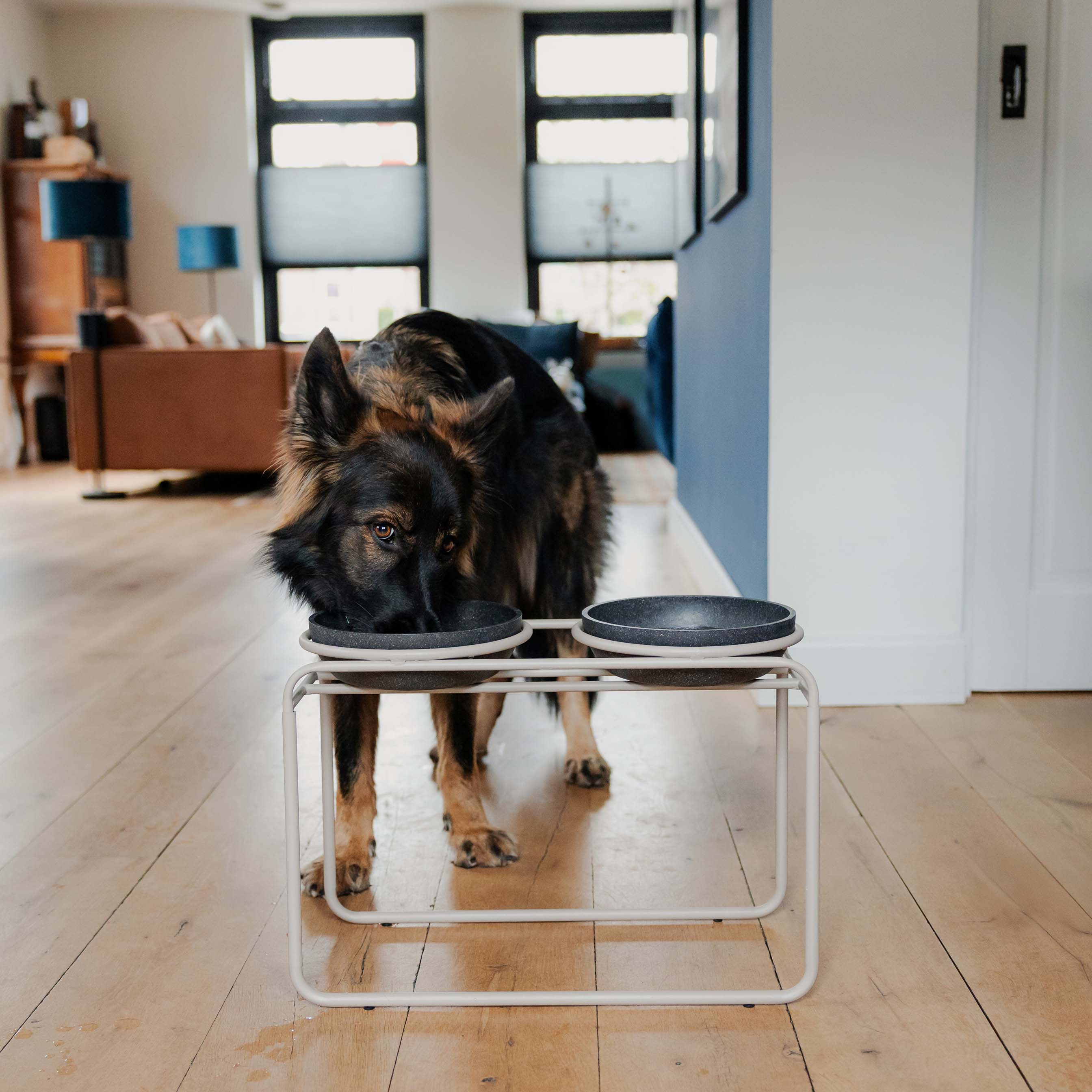 BUTLER Futternapfständer für Hunde - Schwarz / M