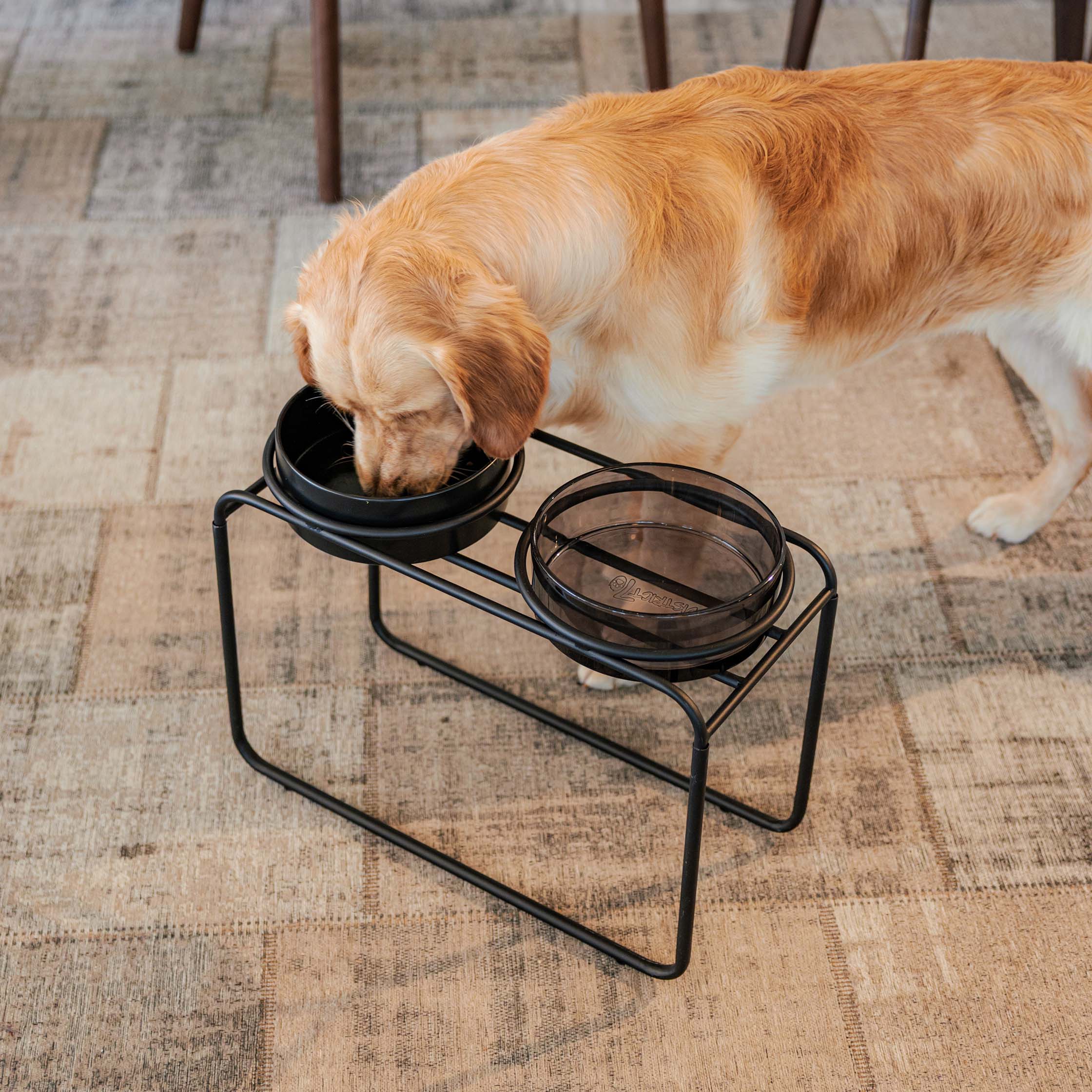 DAWN - Glas-Futternapf für Hunde - Schwarz / Small Ø 14 cm