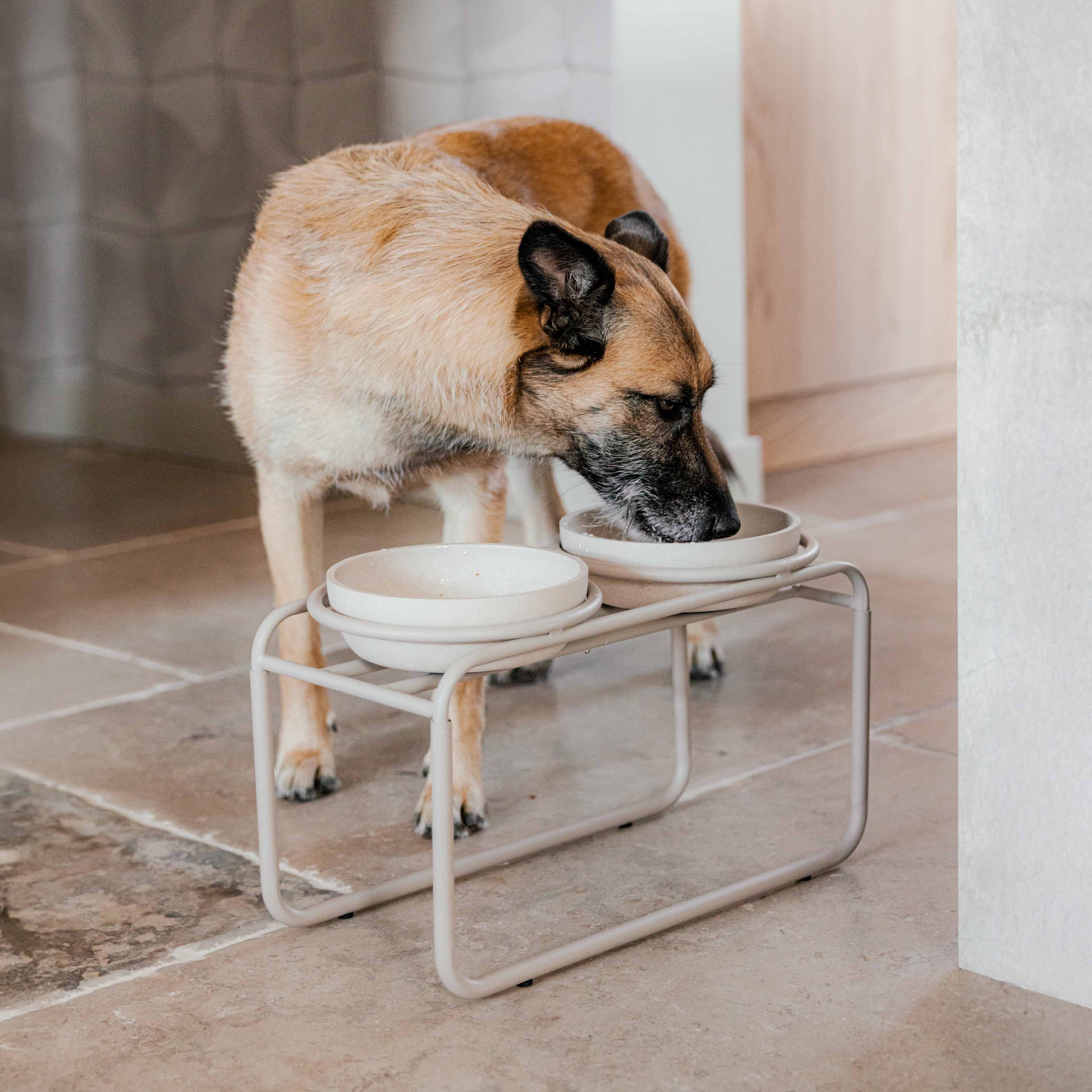 BUTLER Futternapfständer für Hunde - Beige / M