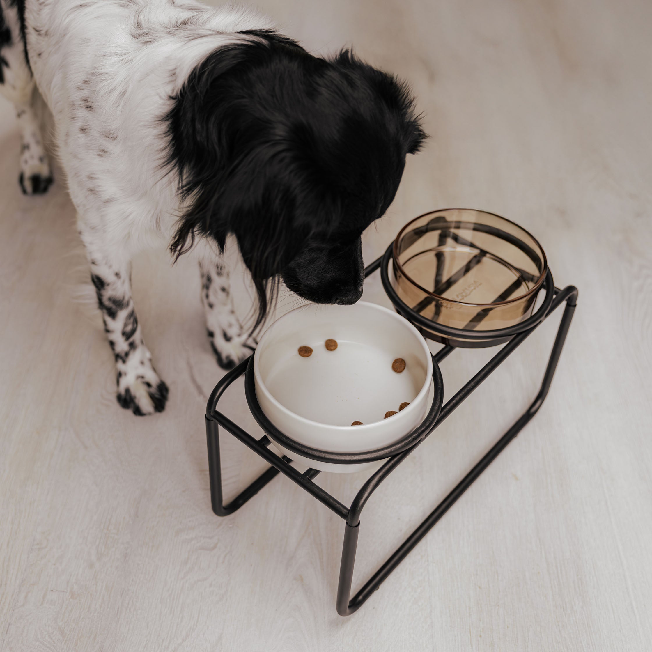 BUTLER Futternapfständer für Hunde - Beige / M