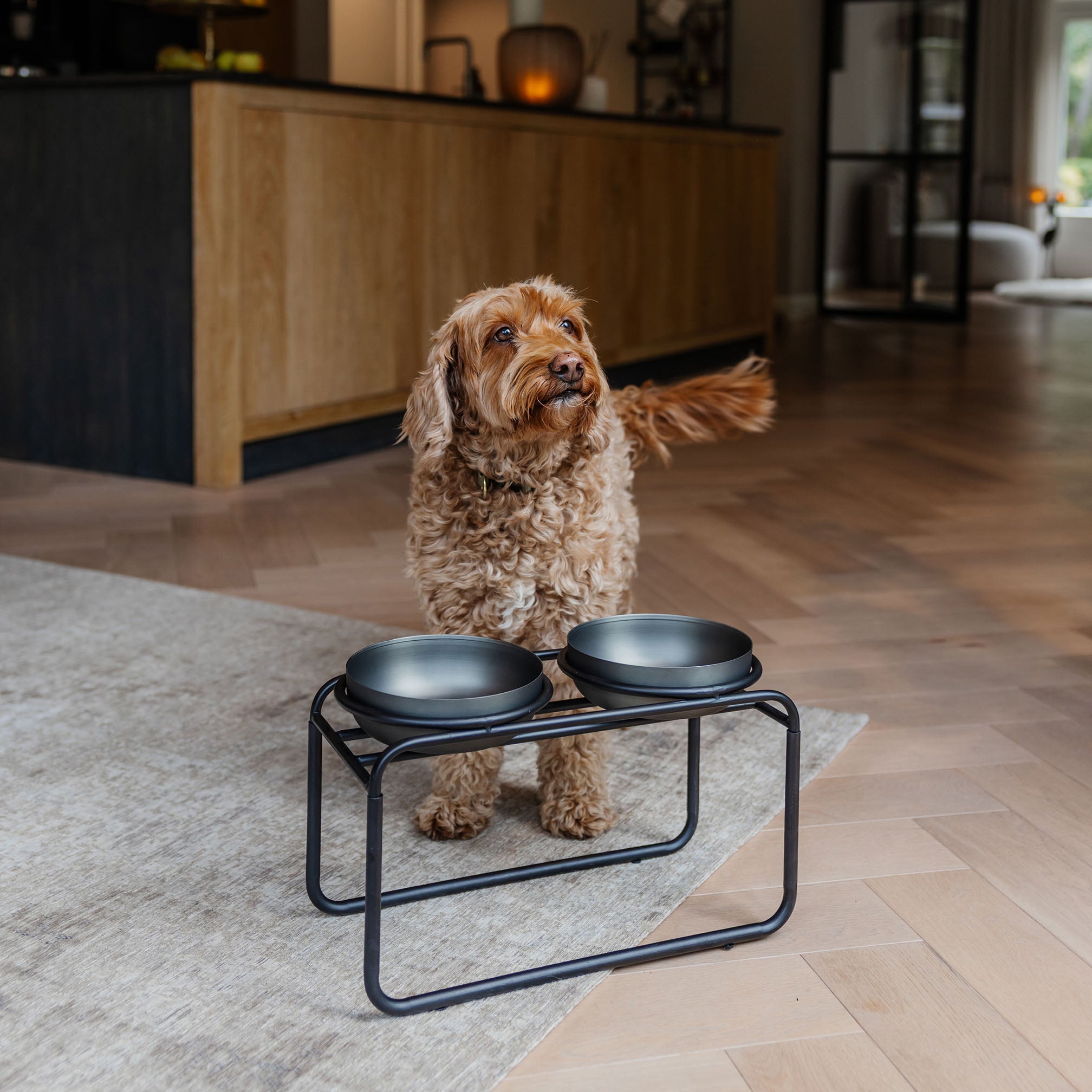 BUTLER Futternapfständer für Hunde - Beige / M
