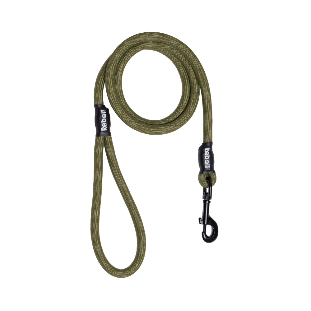 Basic Leash - Grün / Small - 8 mm x 140 cm