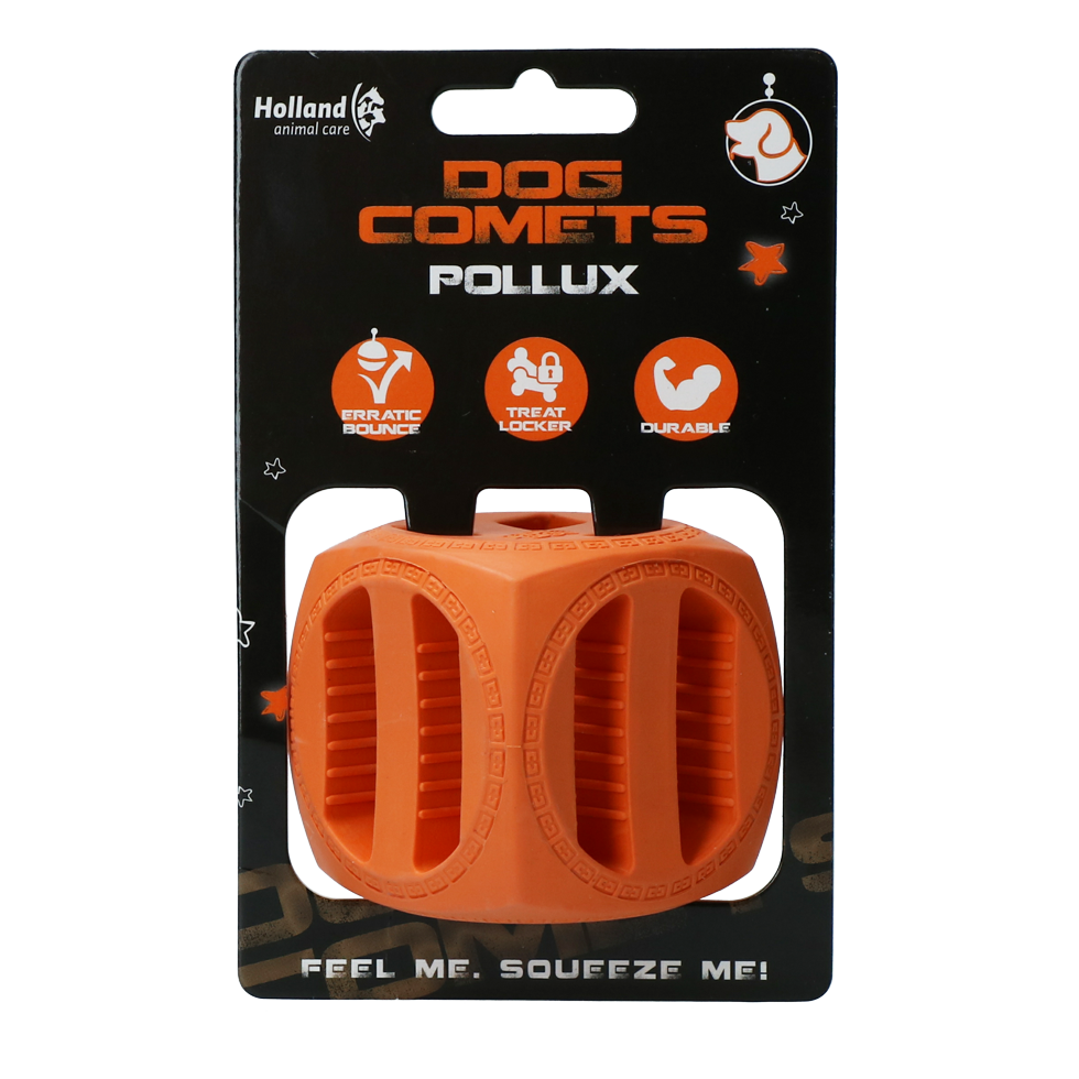 Dog Comets Pollux cube en caoutchouc Orange