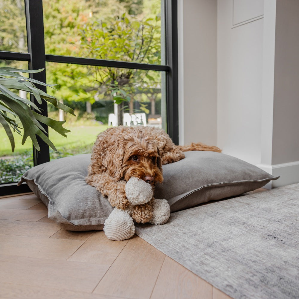 CLASSIC Hundekissen - Shark Grey