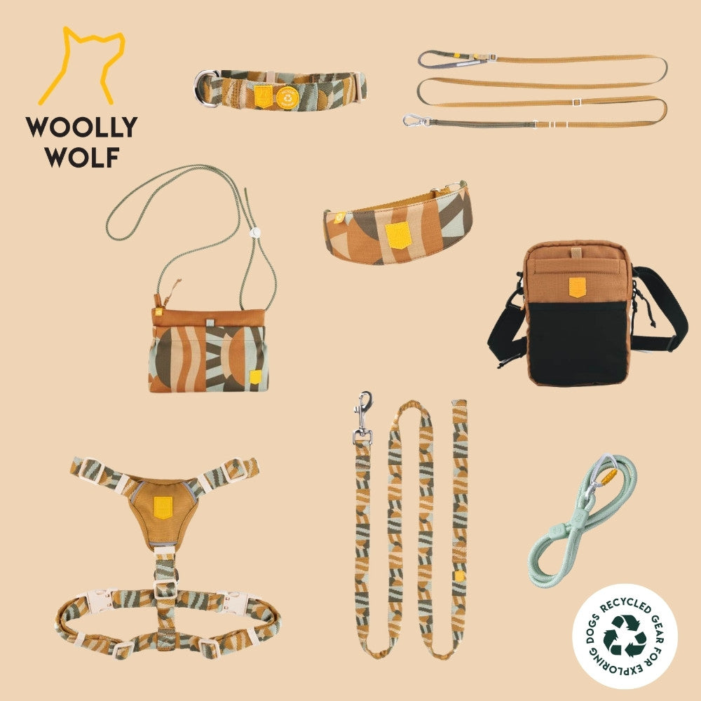 Woolly Wolf Multi-use Leash Thin