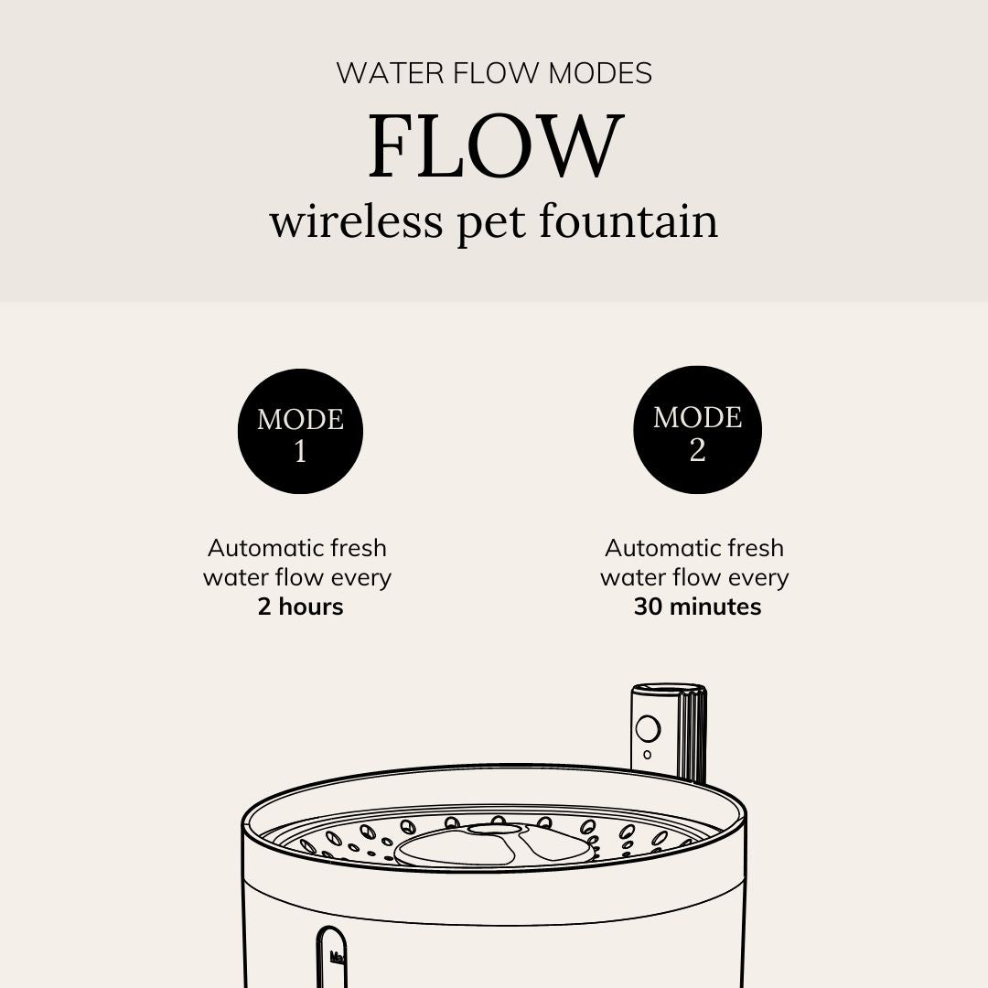 FLOW 2.2 L Kabellose Trinkbrunnen - Weiß