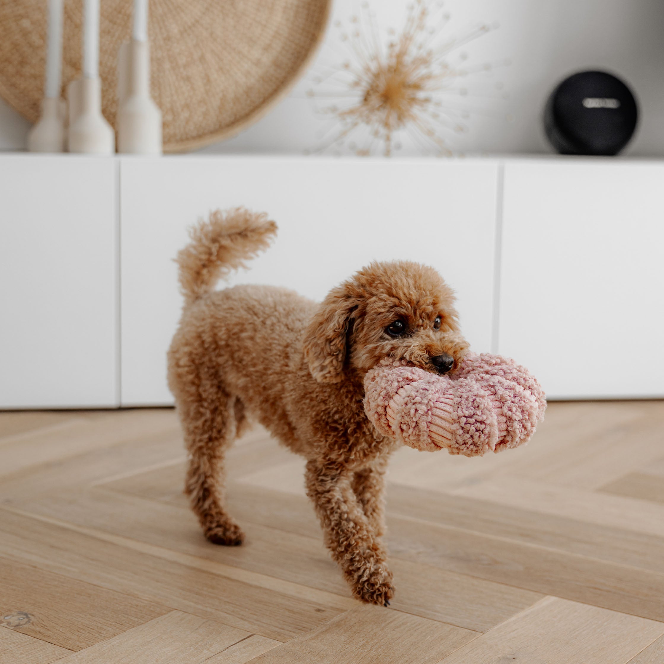 District 70 DAISY snuffelspeeltje voor honden