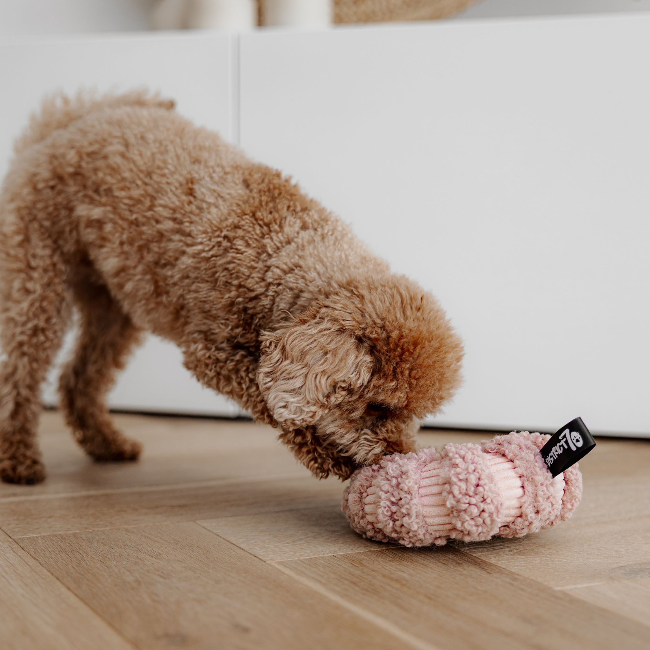 District 70 DAISY snuffelspeeltje voor honden