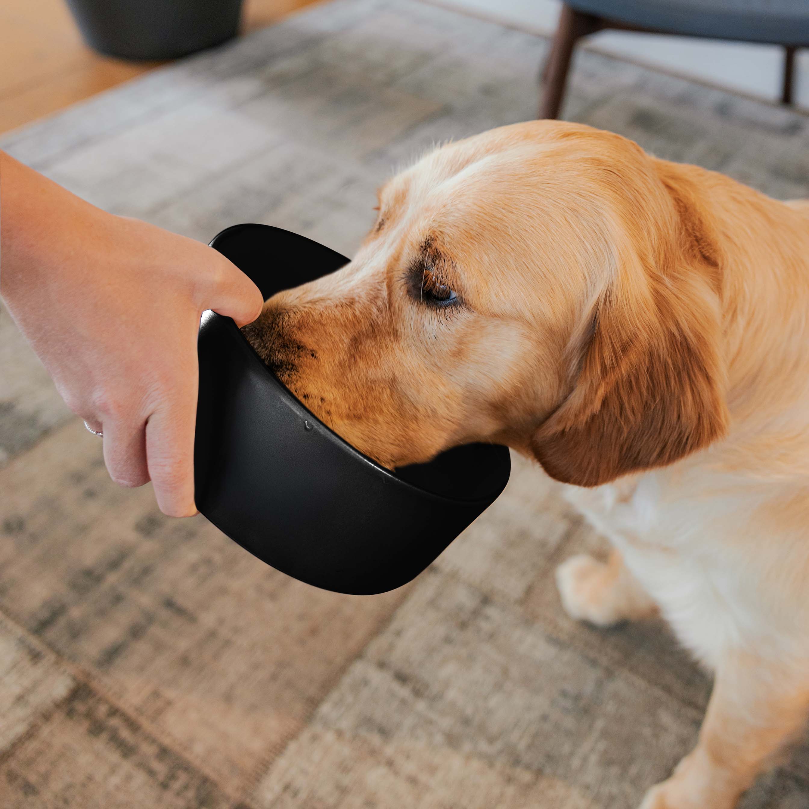 DUSK – Keramik-Hundefutternapf – Champagne / Small Ø 14 cm