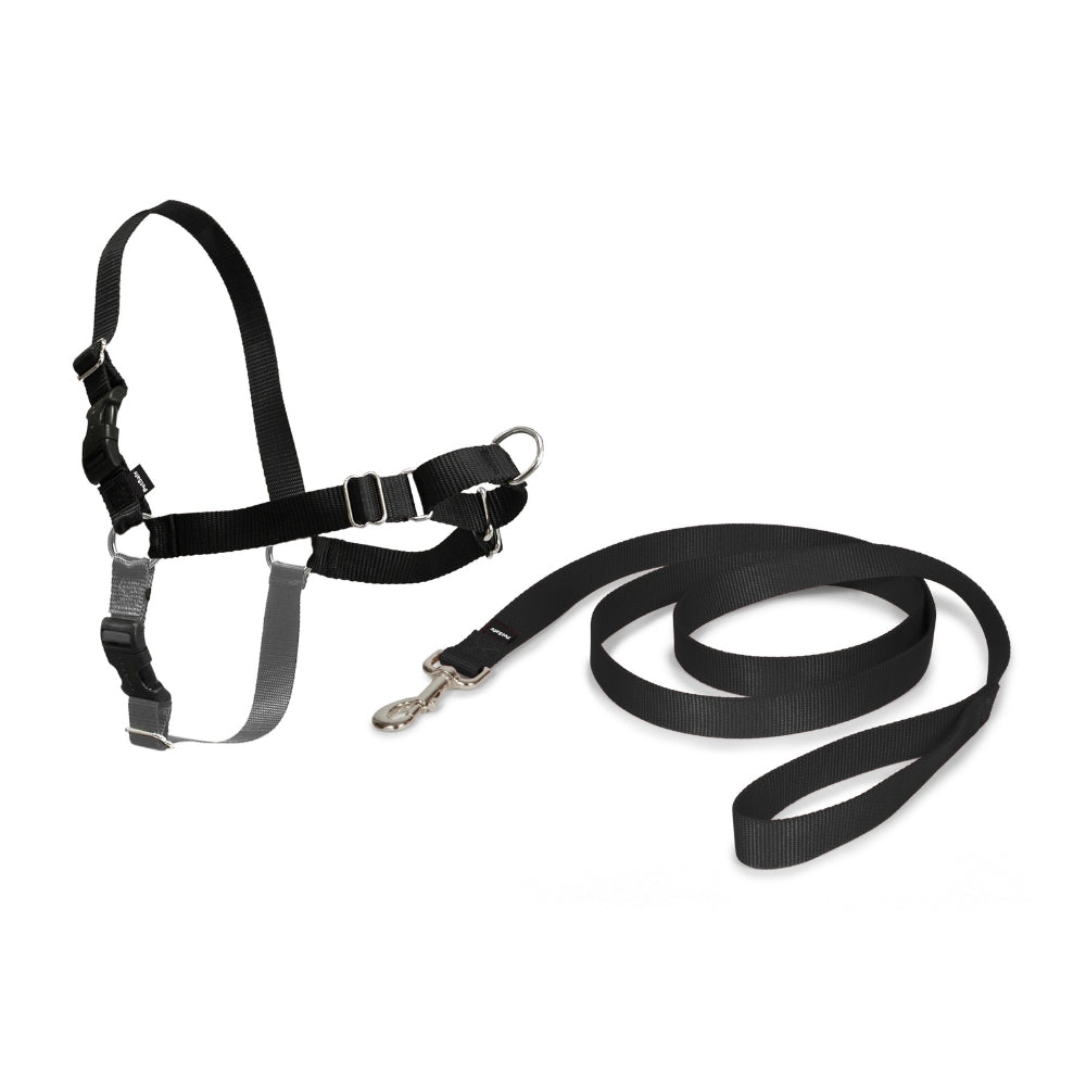 Easy Walk Geschirr - Schwarz / Small - 38-51 cm