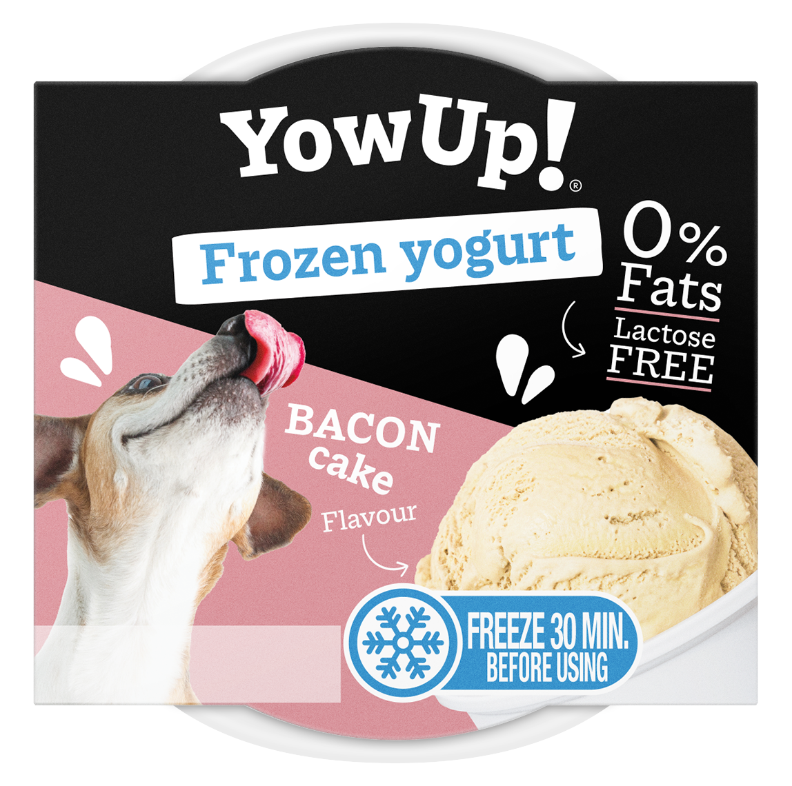 YowUp! Frozen Yoghurt Bacon Cake bevroren yoghurt
