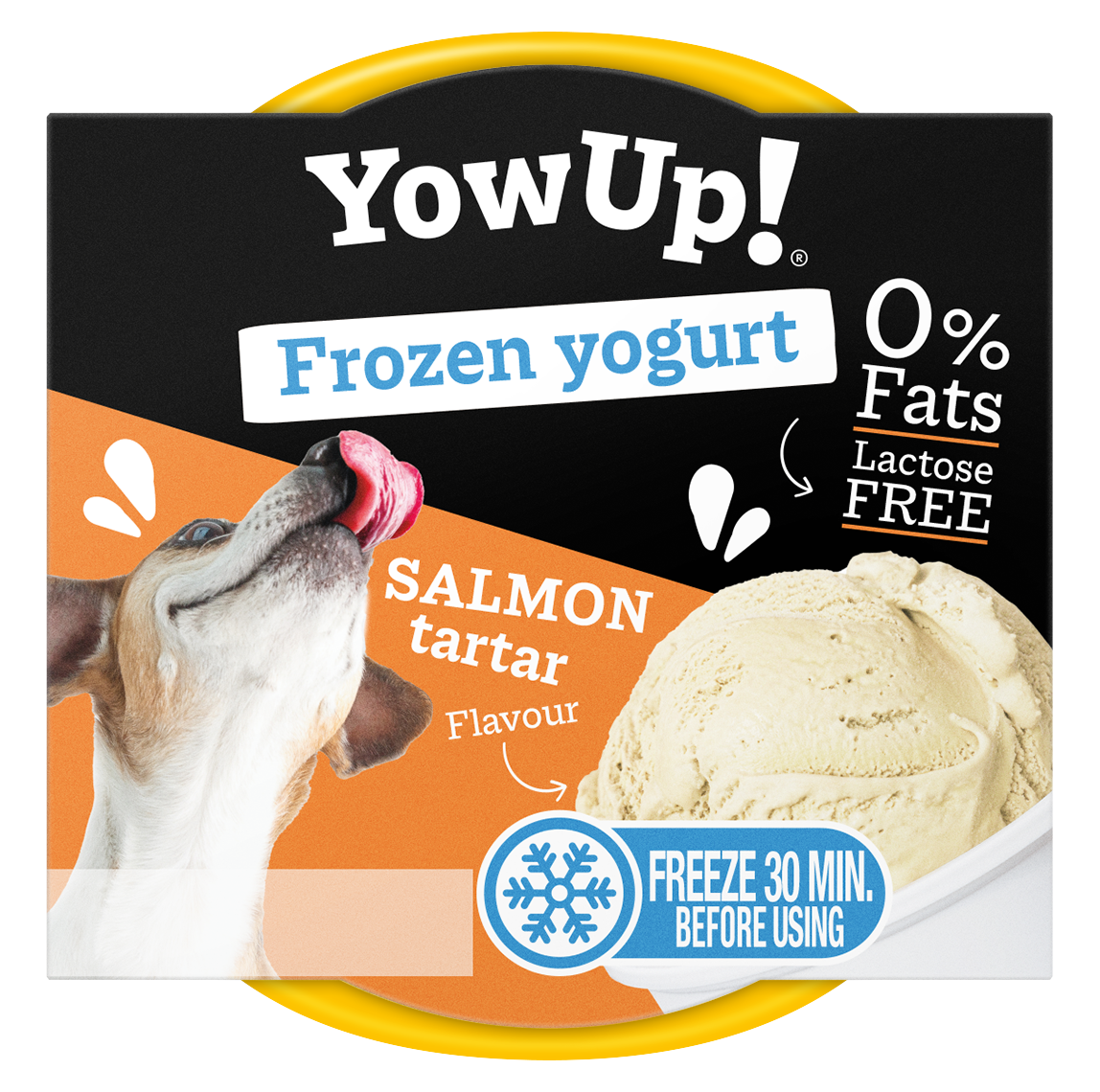 YowUp! Frozen Yoghurt Lachstatar Frozen-Yoghurt-Snack für Hund und Katze