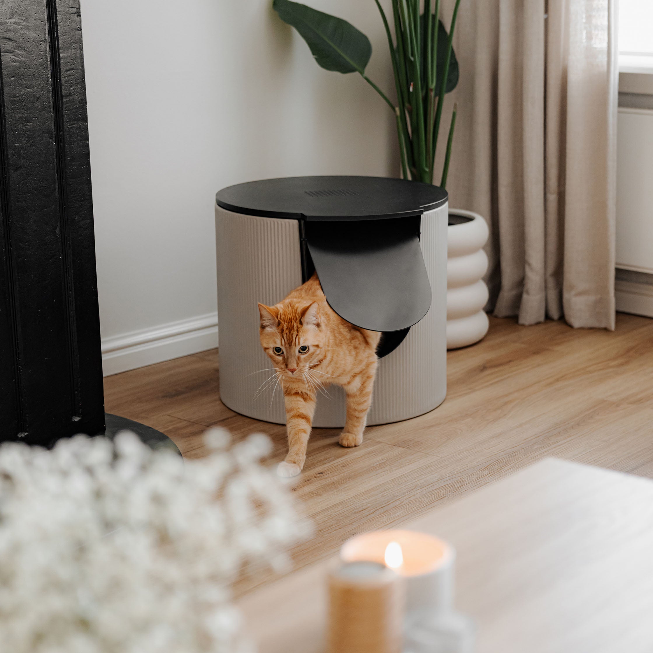 FUSE Design kattenbak 50,5x48x43,5 cm