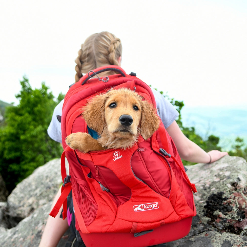 G-Train Hundeträger-Rucksack – Rot