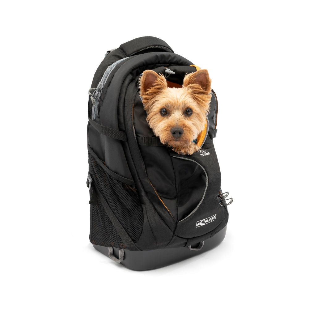 G-Train Dog Carrier Rucksack – Schwarz