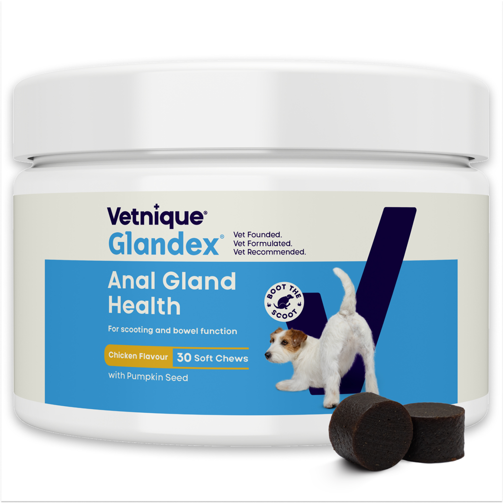 Glandex Soft Chews kip 30 stuks (120 g)