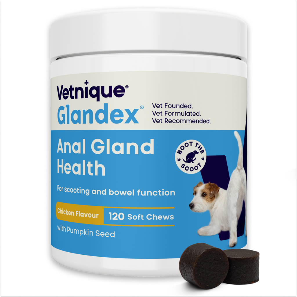 Glandex Soft Chews kip 120 stuks (480 g)