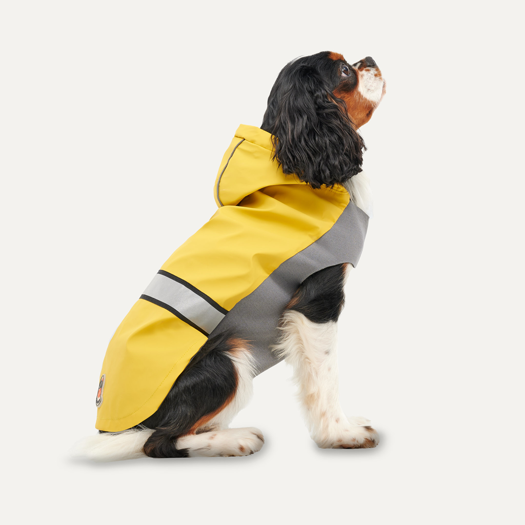 Goo-eez Reflective Hooded Raincoat Hunderegenmantel XS Gelb/Grau