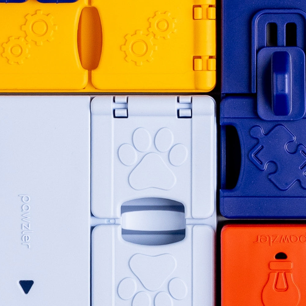Pawzler Genius Set Intelligenzspielzeug