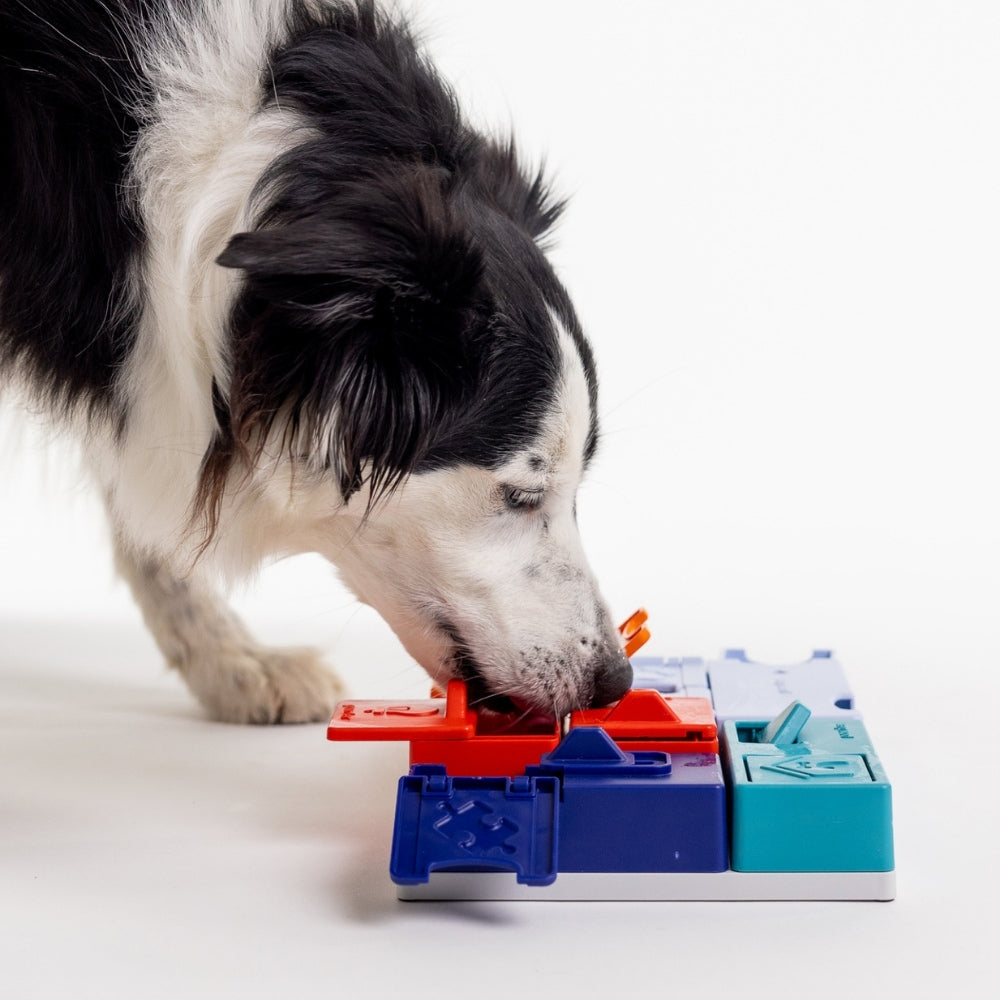 Pawzler Genius Set Intelligenzspielzeug