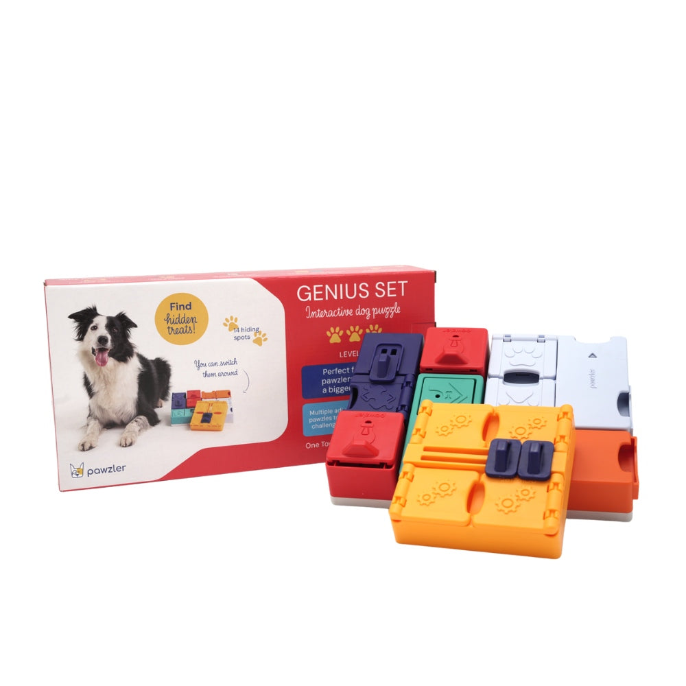 Pawzler Genius Set Intelligenzspielzeug