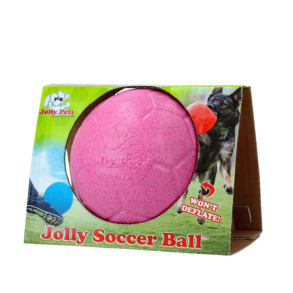 JOLLY Soccer Ball balle pour chien résistante aux dents flottante 15 cm