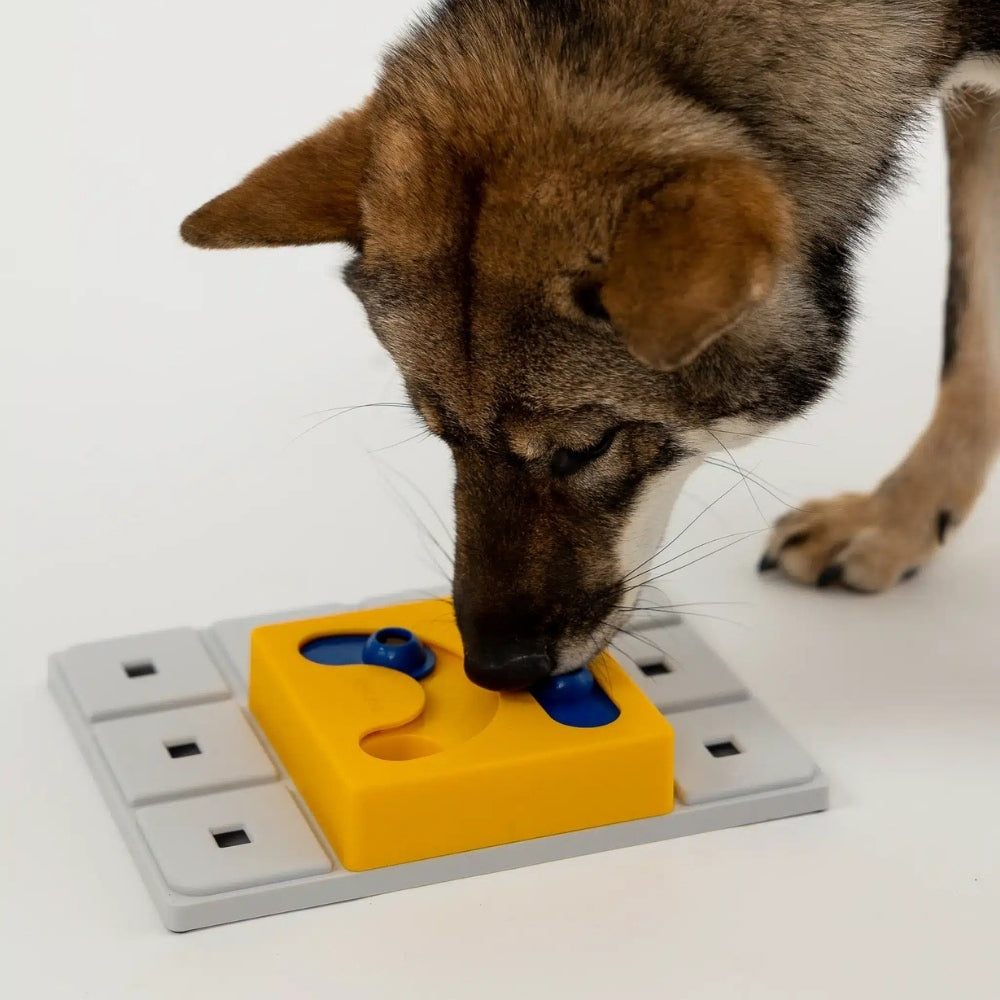 Pawzler Kaya intelligentiespel blauw-geel