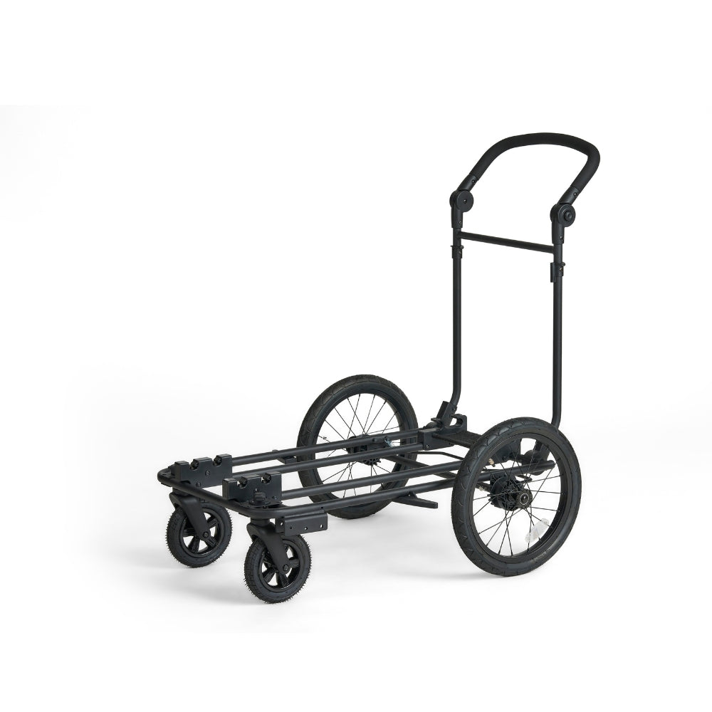 https://www.pips.nl/media/catalog/product/K/i/King_02.jpg