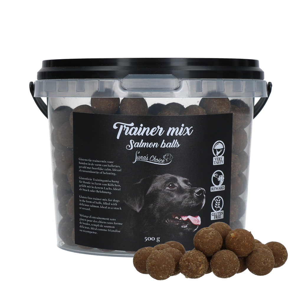 Luna's Choice Trainer Mix Zalm Balletjes glutenvrij 500 g