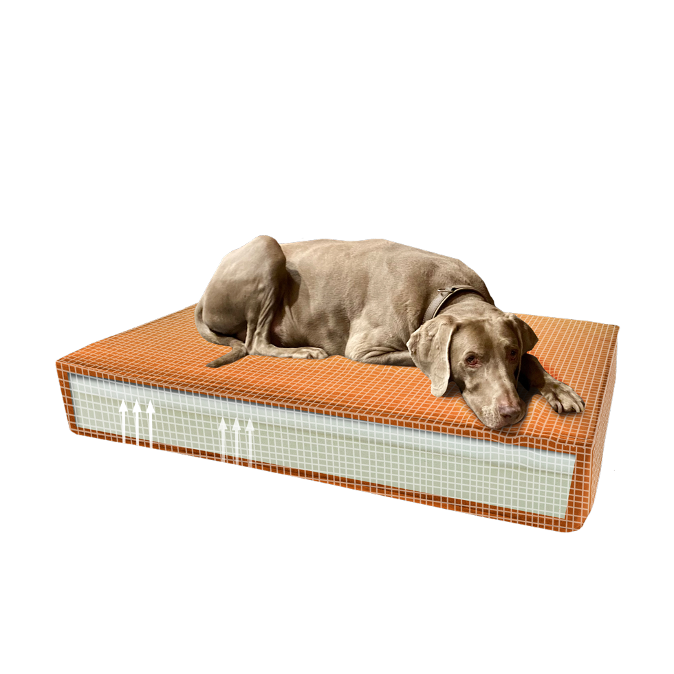 Madison Orthopedisch hondenkussen Velvet Oranje S