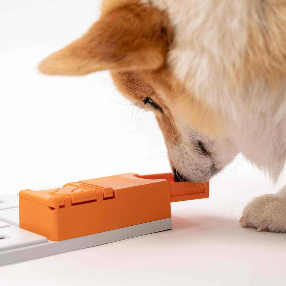 Intelligentiespel hond Pawzler Maya set van 2