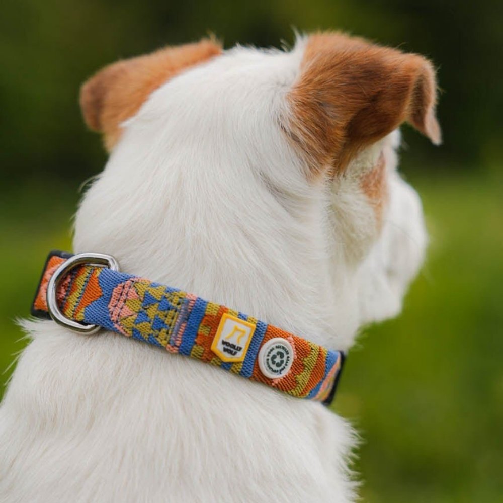 Woolly Wolf Nightless Night halsband