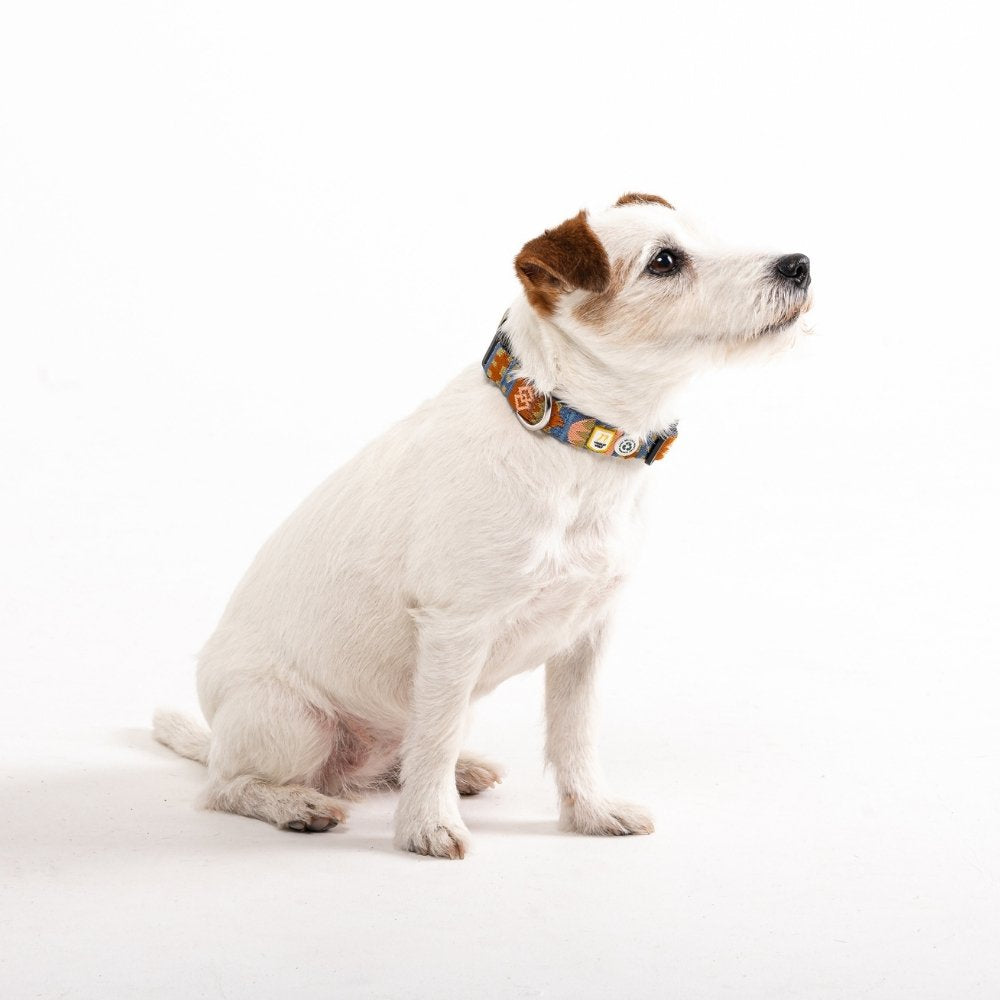 Woolly Wolf Nightless Night halsband gerecycled polyester S 35 cm