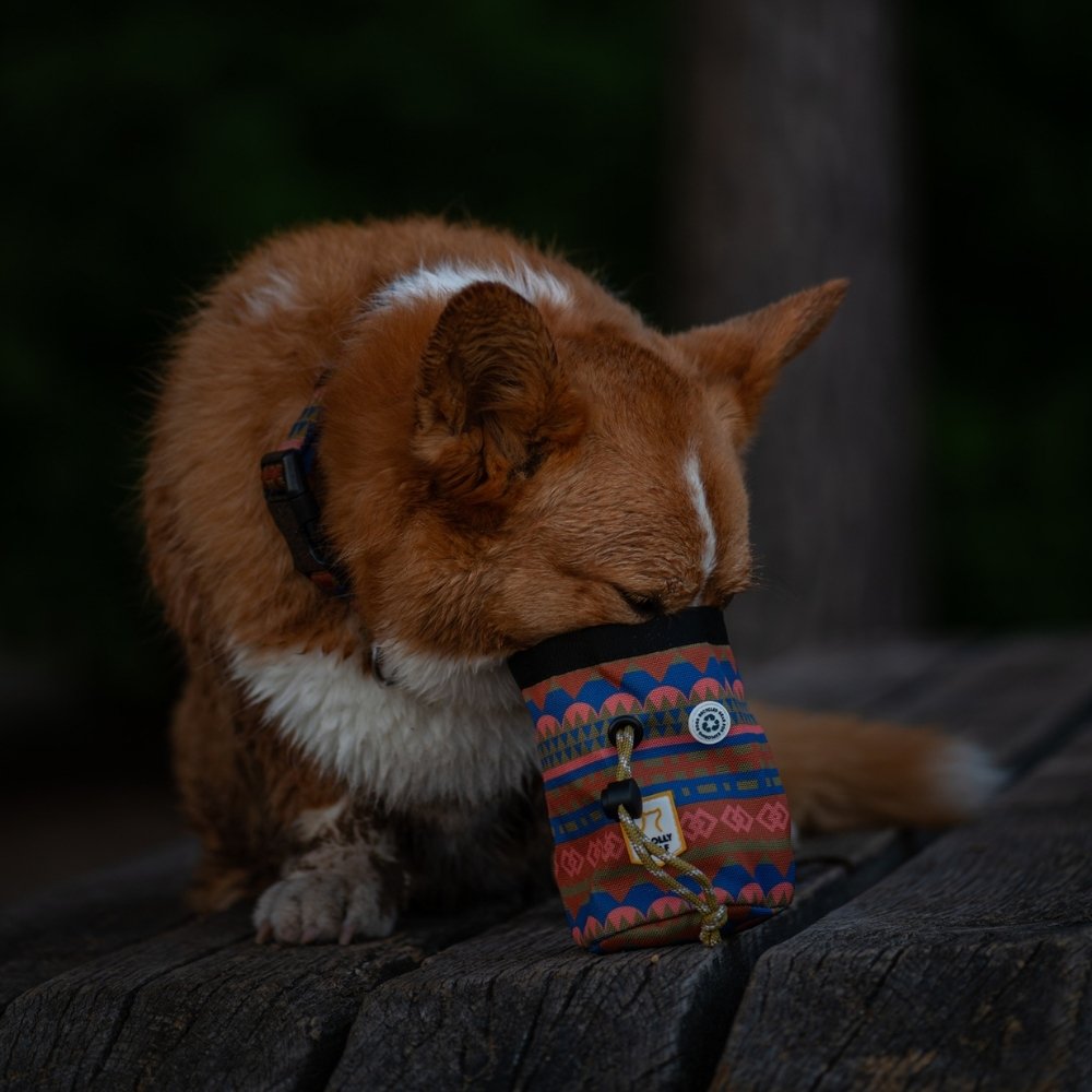 Nightless Night Snack Bag